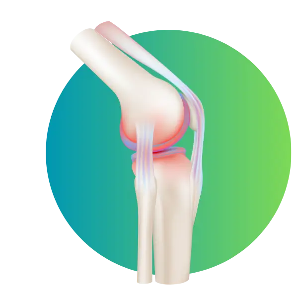 Supplements joints