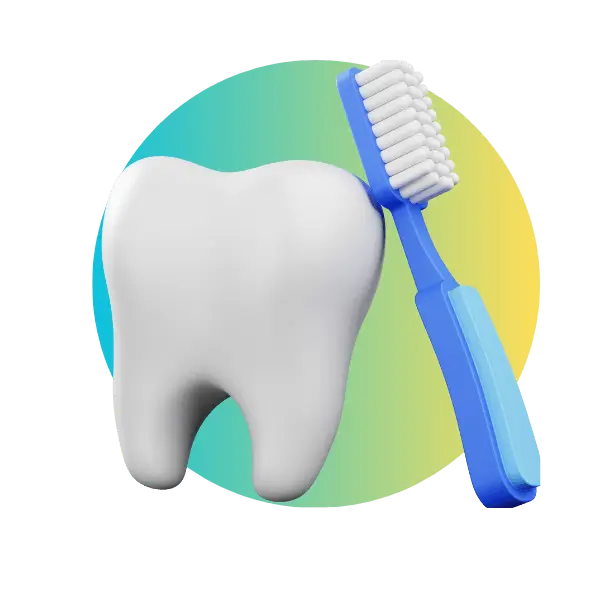 Gums and Teeth