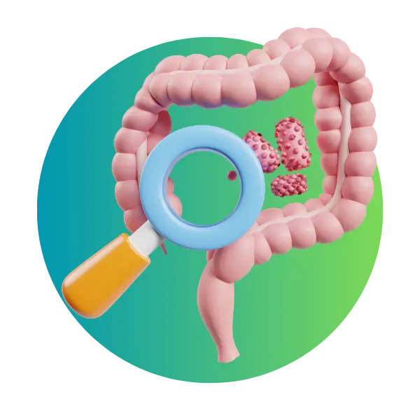 Gut supplements